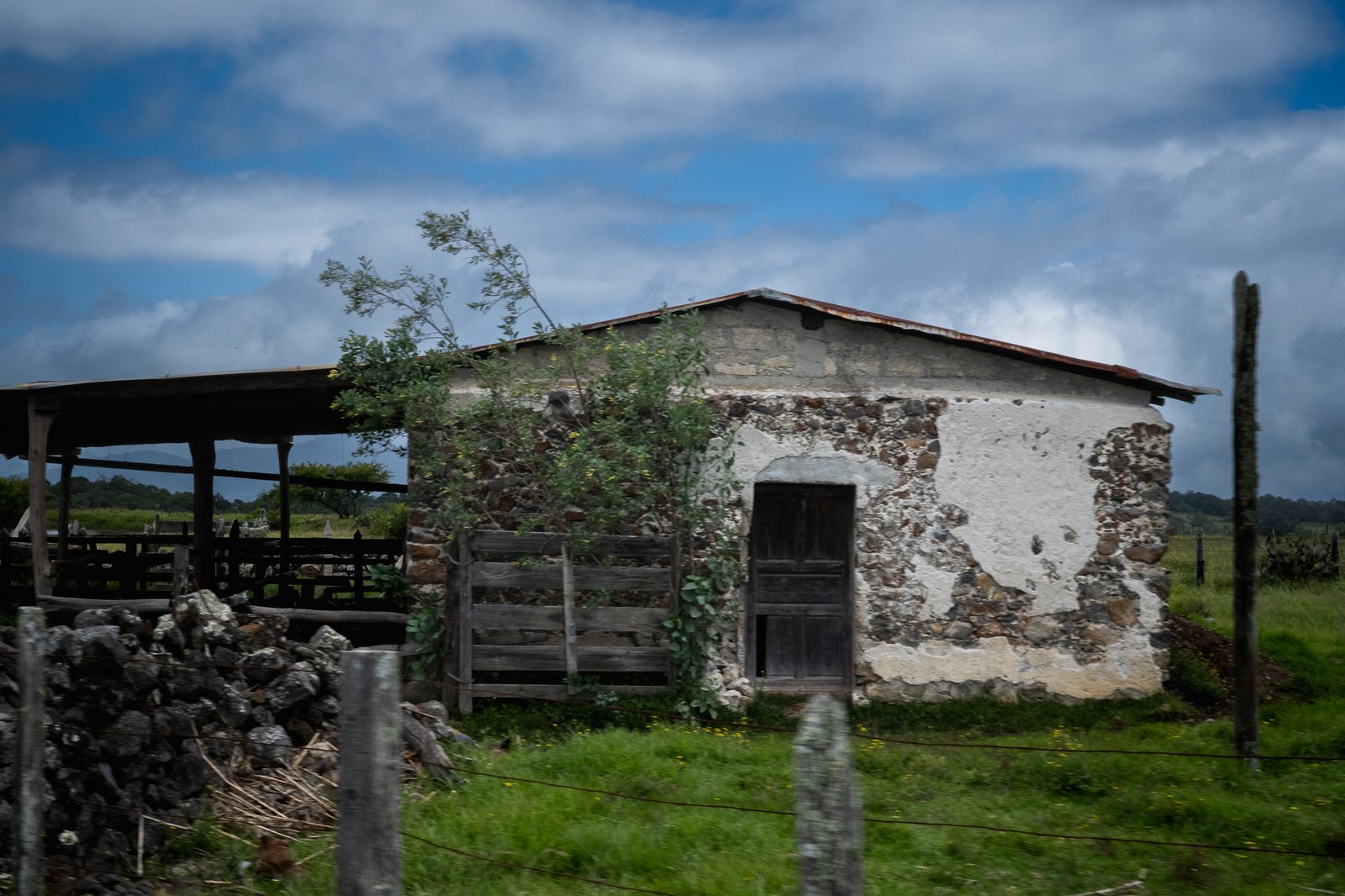 ventana17