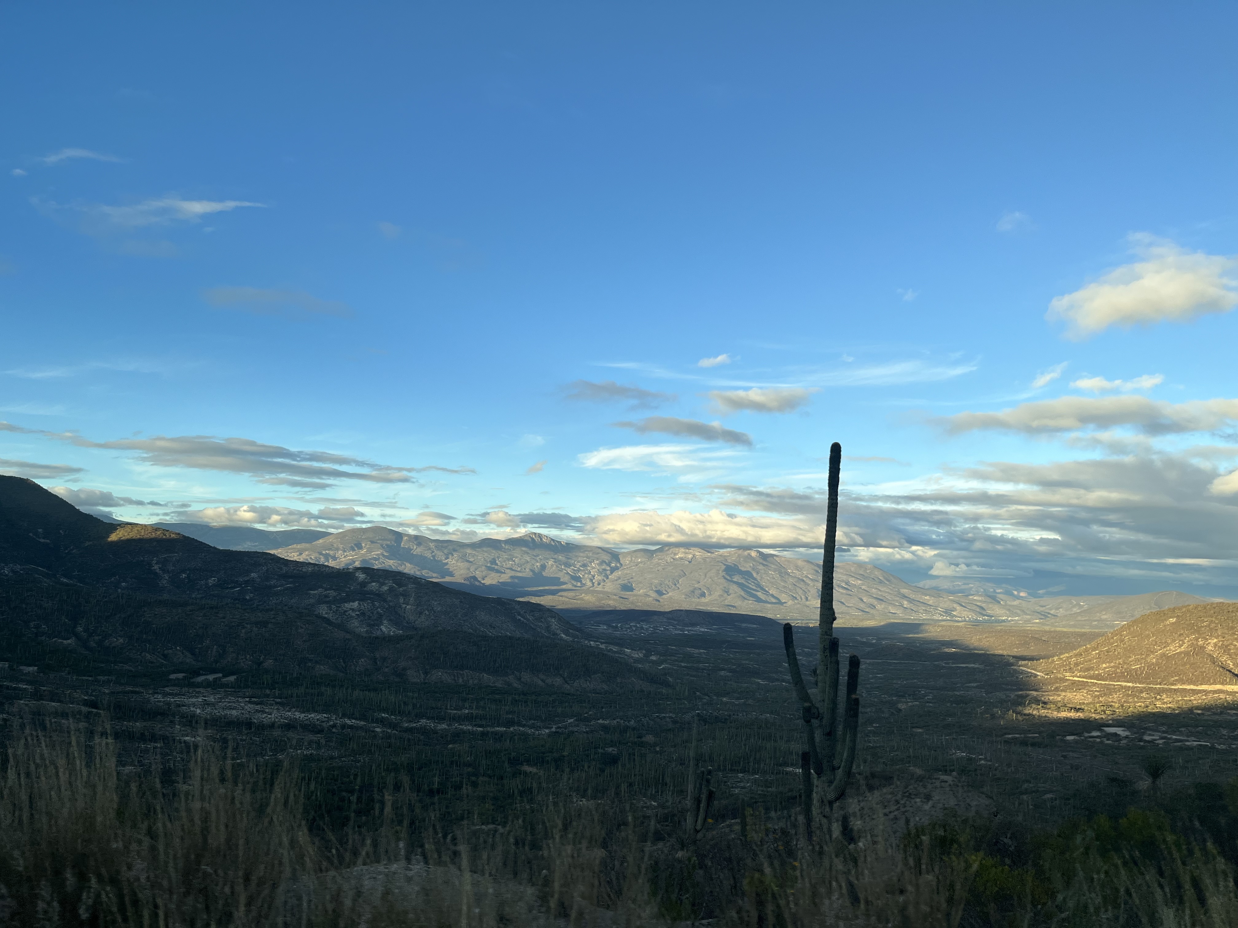 José María Velazco