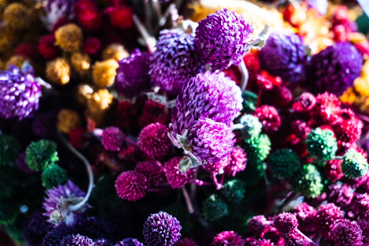 Flores