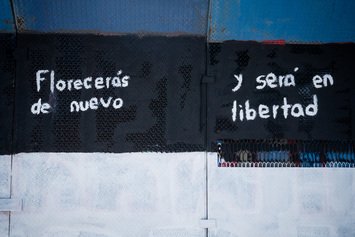 Florecerás