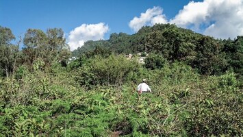 Nunca nada se va completamente